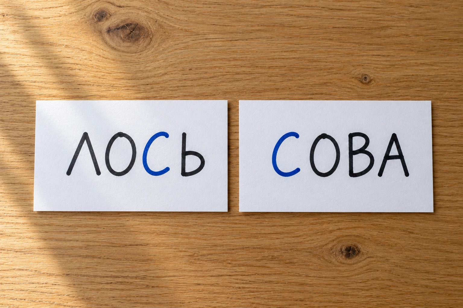 Карточки «ЛОСЬ» и «СОВА»; в обоих словах буква С выделена синим.